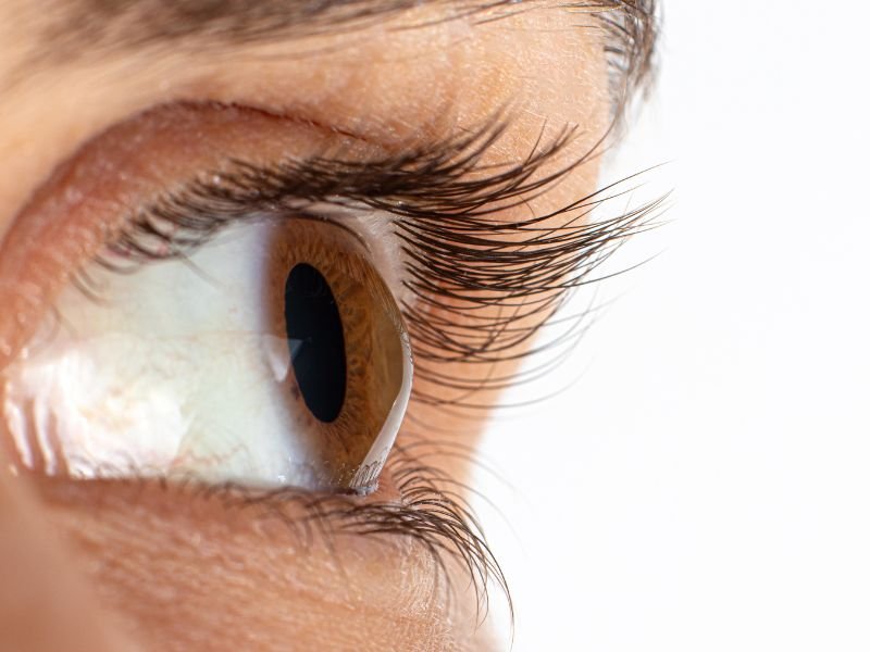 Oftalmologista Especialista em Transplante de Cornea em Curitiba